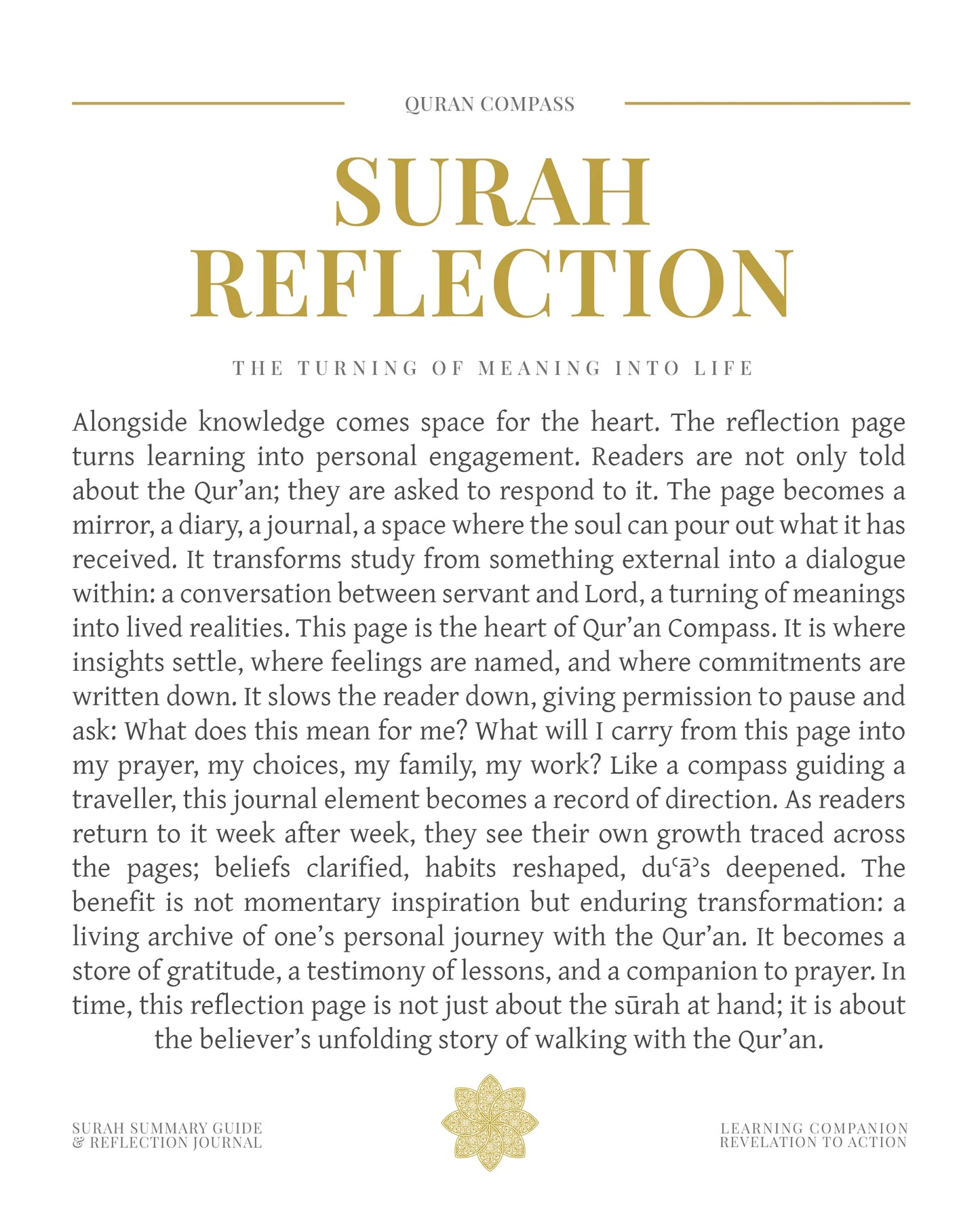 Surah Reflection 