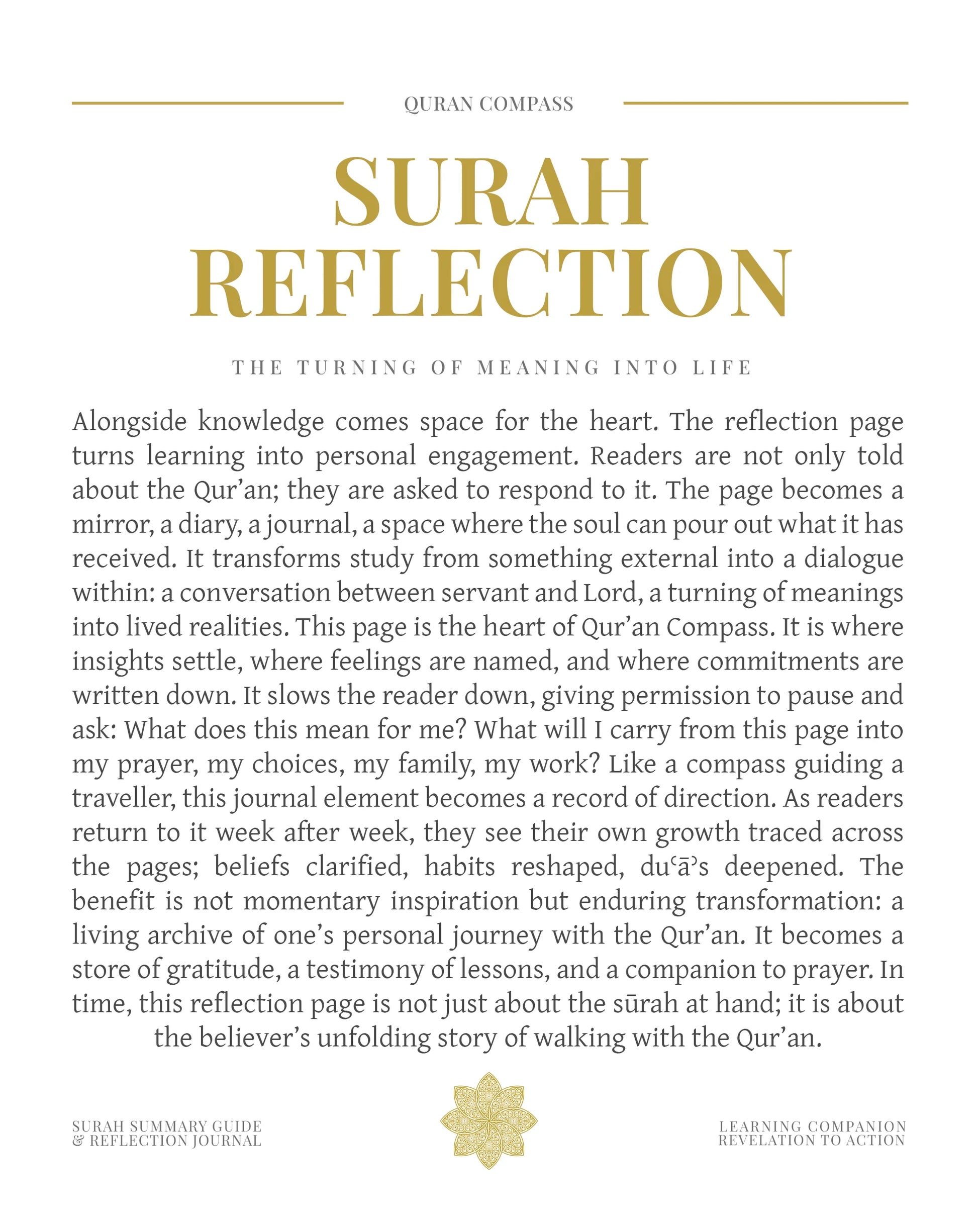 Surah Reflection 